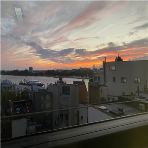 IMG_5889.JPEG